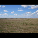 In Bulgarien sind die Felder nicht kleiner als in Rumänien